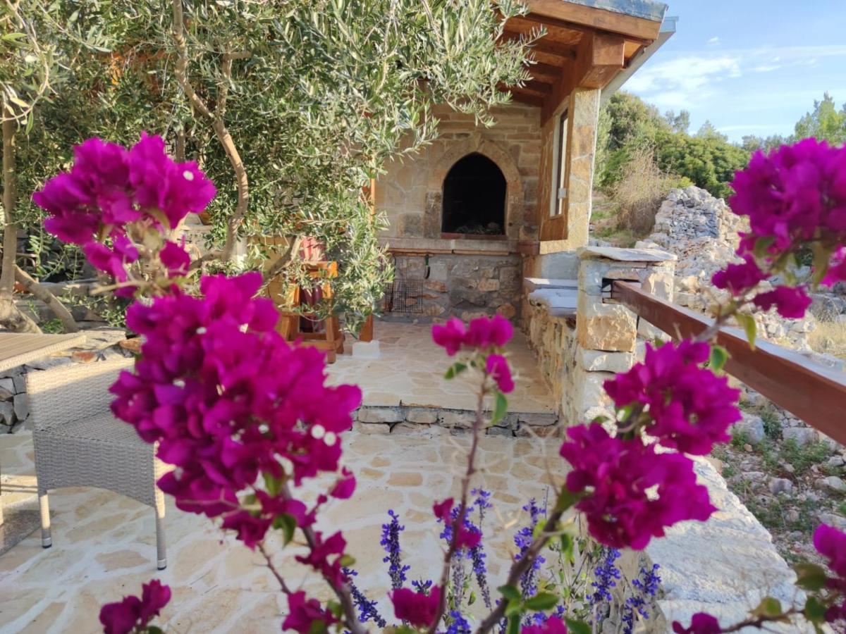 Vacation House Milka Милна Экстерьер фото